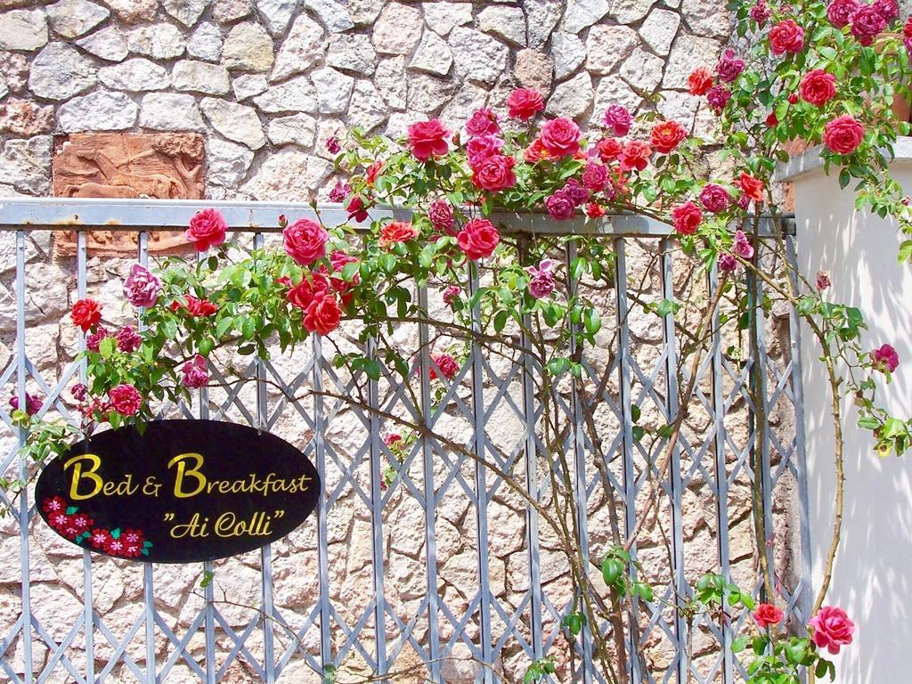 Ai Colli B&B Salò Værelse billede
